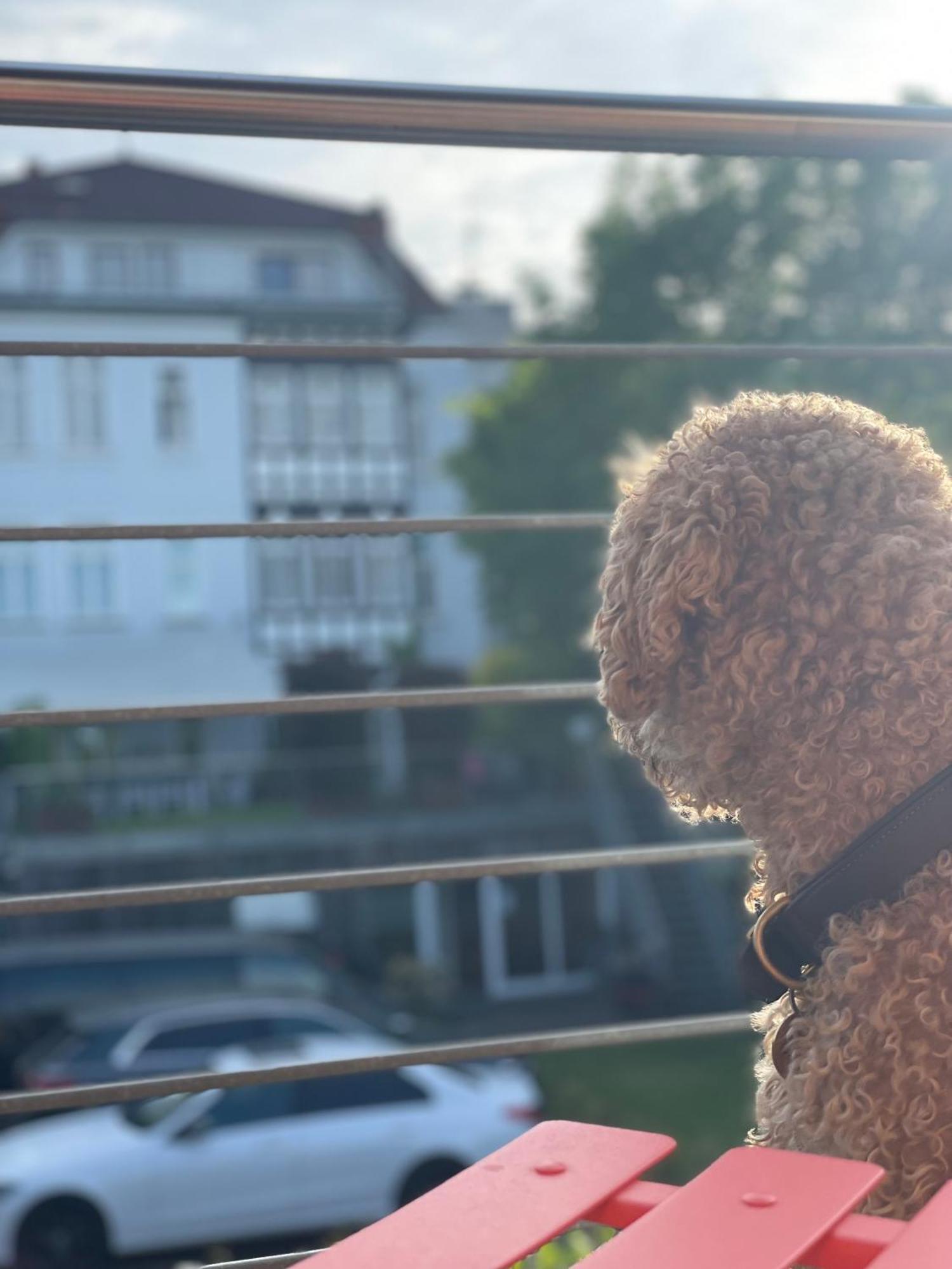 Sonniges Hinterhaus Og Innenstadt Osnabrück Eksteriør billede