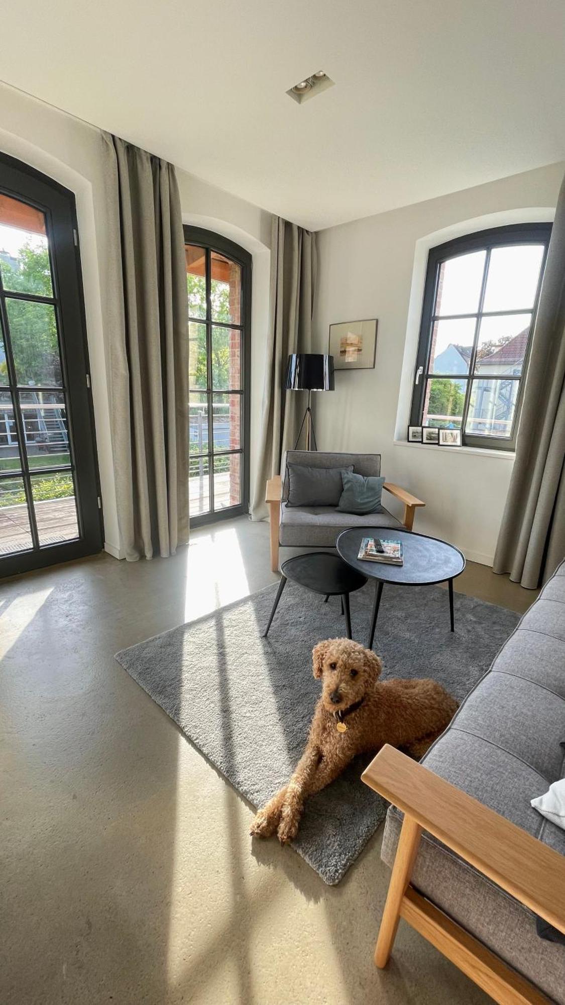 Sonniges Hinterhaus Og Innenstadt Osnabrück Eksteriør billede
